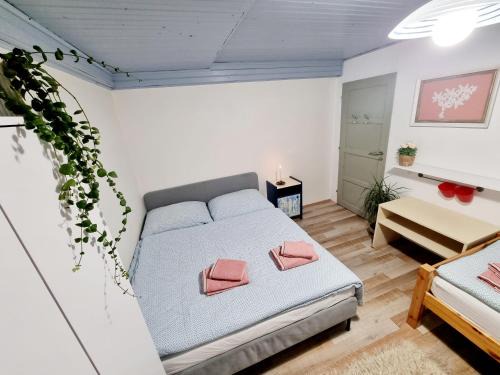 Zdiar Apartment | Hermina Family Apartment Tatras