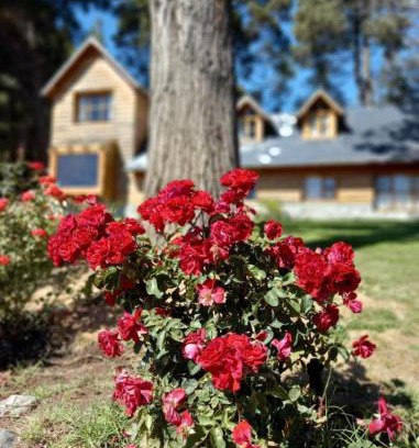 San Carlos de Bariloche Apartment | Hermosa Cabaña con vista al Nahuel Huapi