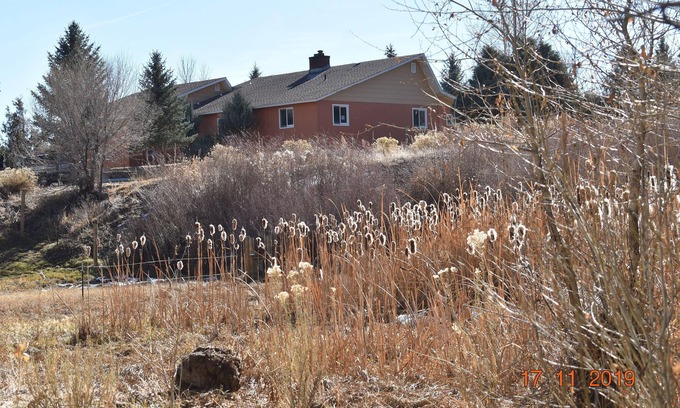 Salida Other | Heron's Landing: Walk to town from 17 acres of wildlife preserve