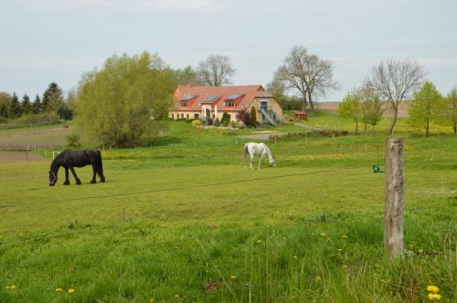 Putbus House | Heu-Ferienhof Altkamp
