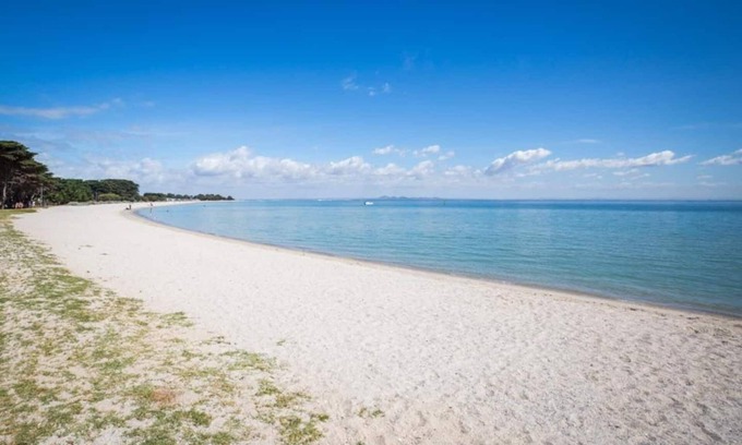 Portarlington House | Hidden Villa - Town Center; walk to everything!
