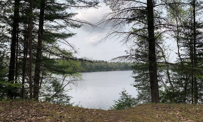 Oscoda Cabin | Hide out cozy Cabin Rental near Cooke Dam pond in Oscoda & budget friendly