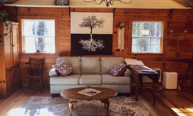 Mills River Cabin | Hideaway Cabin in the Woods- Pond, Trails & Nature
