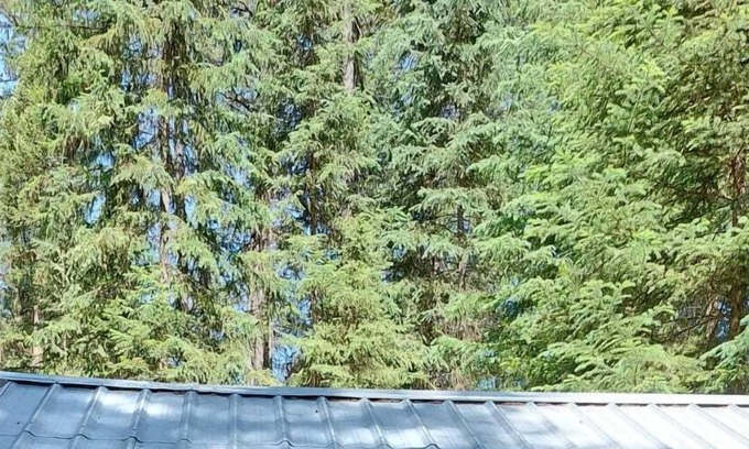 Olney RV Rental | Hideaway Hut 2/ 1 Queen and 1 Bunkbed