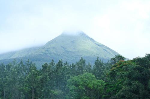 Chikkamagaluru House | Hill Shadow - With mountain view and pool