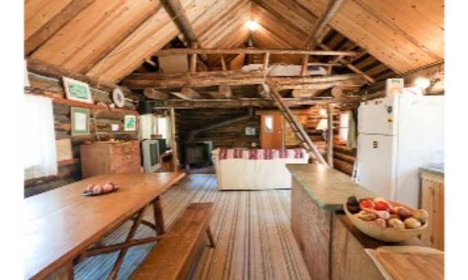 Tahoe Meadows Cabin | Historic log cabin with private beach access in historic district