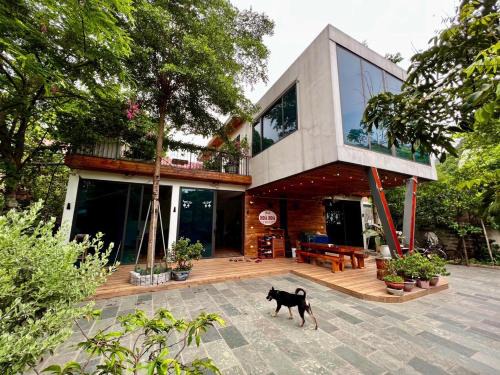 Hoa Lu House | Hoà Hoa villa Ninh binh