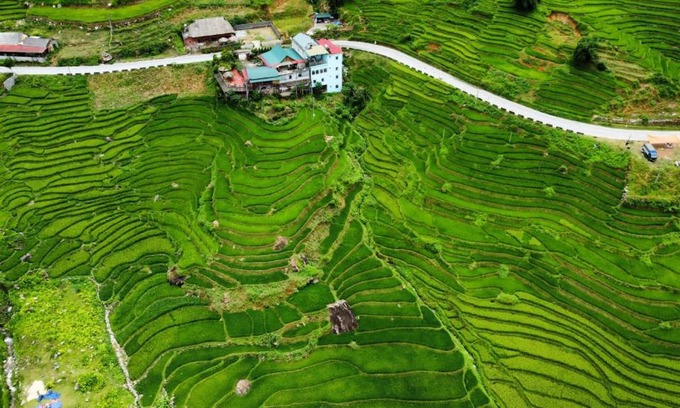 Hau Thao House | Hoa's homestay Sapa