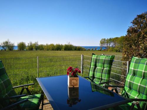 Meschendorf Apartment | Hof am Meer "Seefalke"