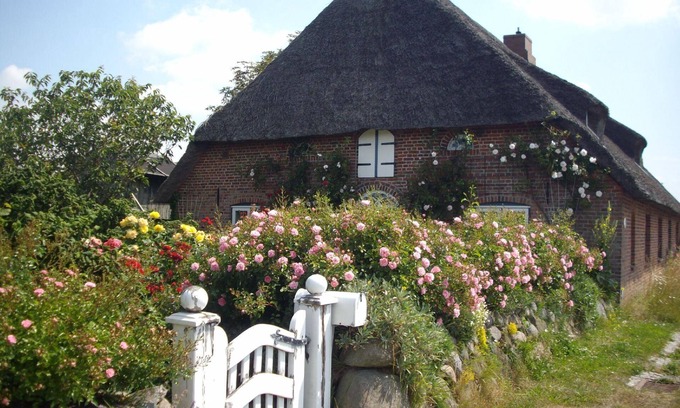 Emmelsbuell-Horsbuell Apartment | Holiday apartment Emmelsbüll-Horsbüll for 1 - 4 persons - Holiday apartment in one or multi-family h