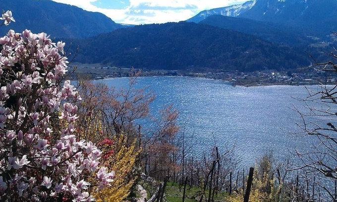 Levico Terme Apartment | Holiday apartment Levico Terme for 1 - 3 persons with 1 bedroom - Holiday apartment
