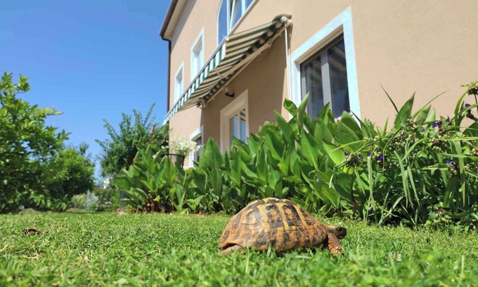 Murine Apartment | Holiday apartment with internet, air conditioning, terrace and garden in a quiet location