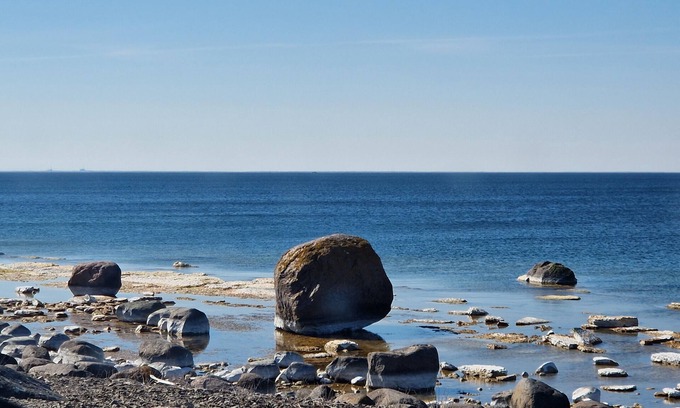 Gullabo Cottage | Holiday between forest and paddocks in Småland