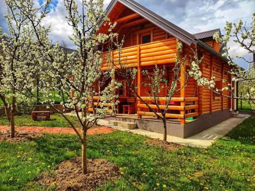 Montenegro House | Holiday cottages with pool
