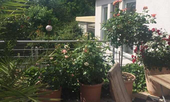 Ruwer-Eitelsbach House | Holiday Home 'Haus Rosengarten' with Private Terrace, Private Garden and Wi-Fi