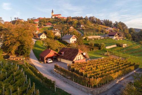 Trska Gora House | Holiday home in Novo Mesto - Dolenjska Bela krajina Unter- Weißkrain 42895