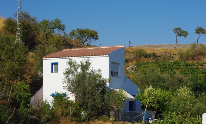 Velez-Malaga House | Holiday home in the olive grove with sea views and outdoor pool