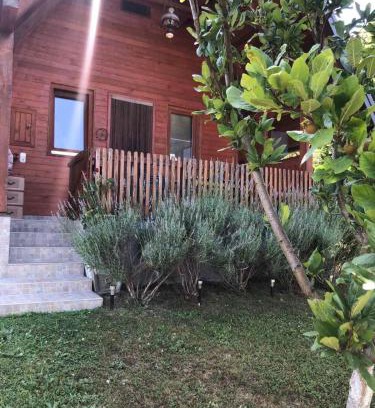 Mali Radic House | Holiday home Nemo