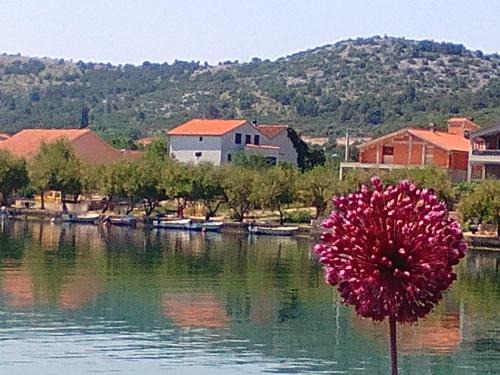 Raslina House | Holiday Home Oliva