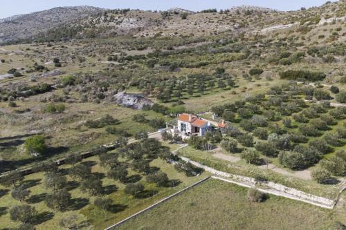 Donje Polje House | Holiday home Olive