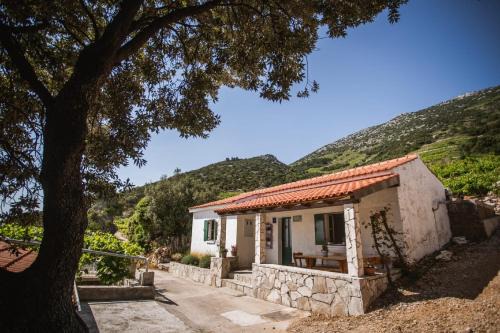 Orebic Apartment | Holiday Home Potocinarka
