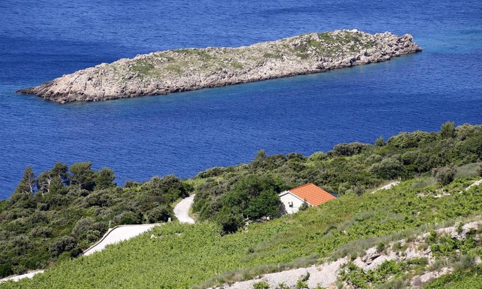 Orebic House | Holiday house with a parking space Dingac - Pristranj, Peljesac - 660