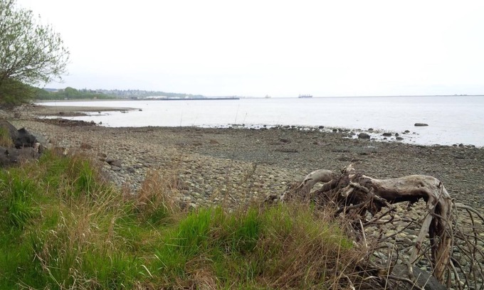 Port Angeles Hotel | Holiday Lodge