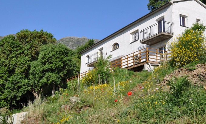 Pietracorbara House | Holiday Rentals Cap Corse 2 to 6 people forest view.