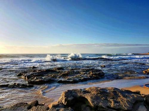 Shelly Beach House | Holiday unit 37 Eden dunes