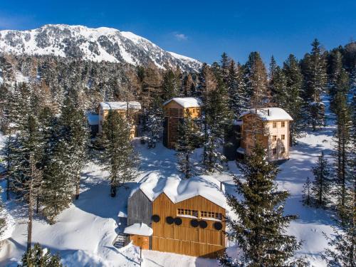 Turracher Hohe Ski Chalet | Hollmann am Berg Ski-in Ski-out