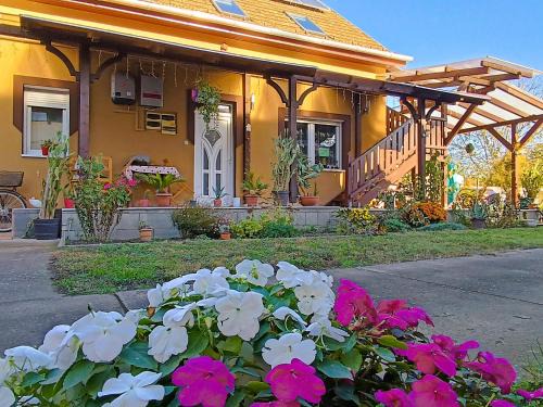 Szeged House | Holt-Tisza Vendégház