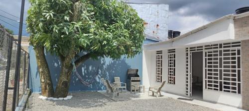 Acacias House | Home Acacias