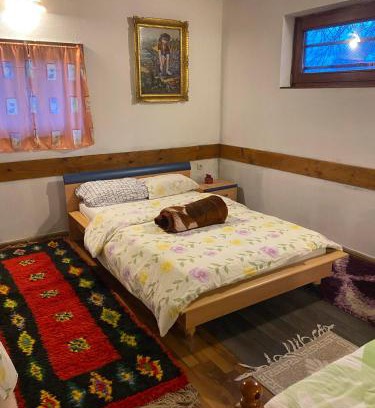 Mali Radic Ski Chalet | Home Lipa