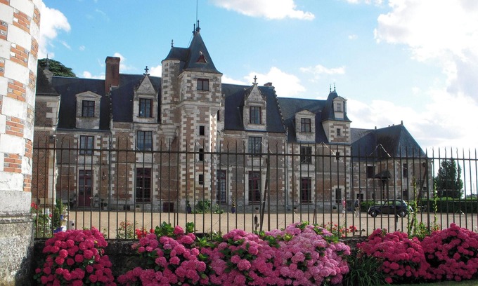 Vernou-sur-Brenne Other | Homerez - Manor in Vernou-sur-Brenne