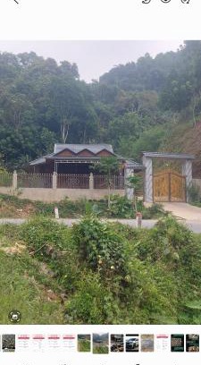 Bao Lam Apartment | Homestay Cốc Lào