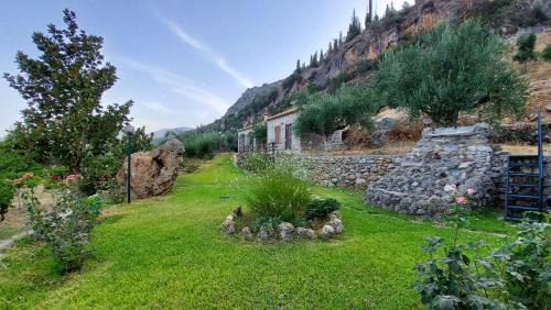 Messaia House | homonatura petrinum