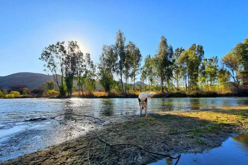 Vredefort Ski Chalet | Honeypot Fly Fishing Eco Chalet