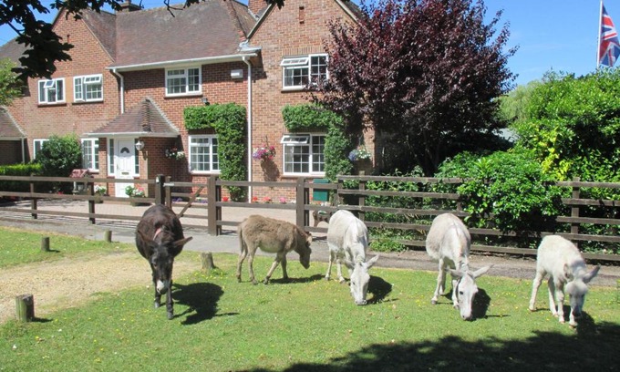 New Forest District House | Hops Annex