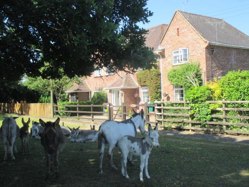 New Forest District House | Hops Main House, Brockenhurst, New Forest