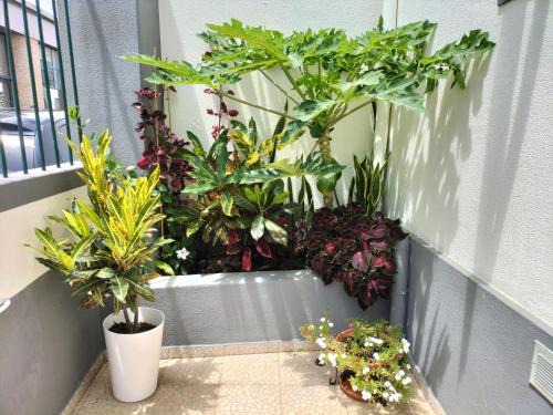 Old Town Apartment | Hortasol A