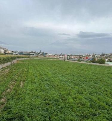 Sachaca Apartment | Hospedaje Sachaca, Arequipa