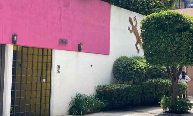 Del Carmen House | Hostal Cuija Coyoacan Berlin 268 Coyoacan