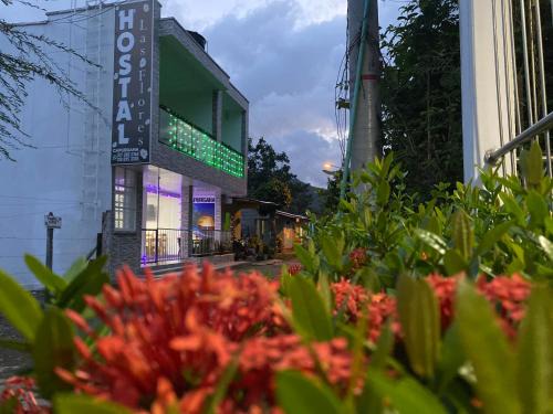 Capurgana Hotel | HOSTAL LAS FLORES