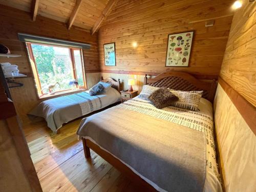 Pucon Hotel | Hostal Pucon Sur