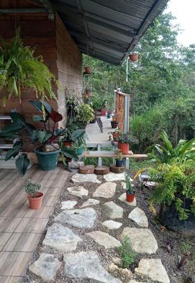 San Vito House | Hostal Seminia Lodge