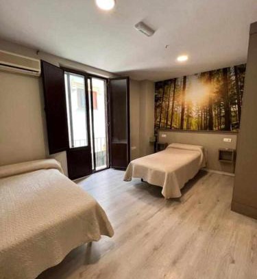 Albaicin Hotel | Hostal Viena Plaza Nueva