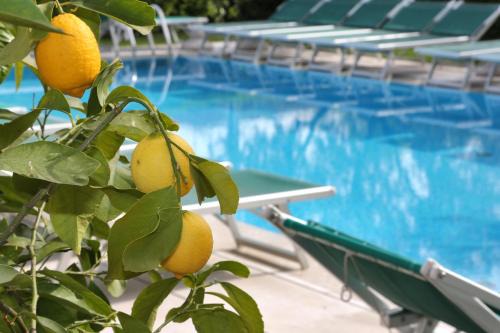 Bardolino Hotel | Hotel Al Sole Bardolino