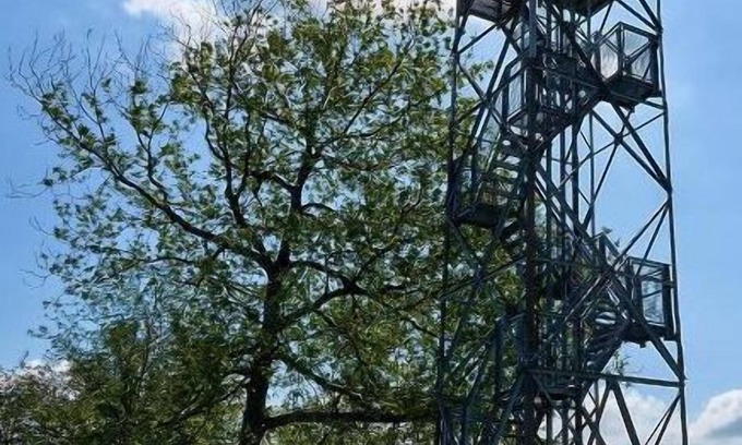Neuenrade Hotel | Hotel am Maibaum