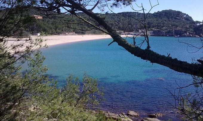 Palamos Hotel | Hotel Ancora