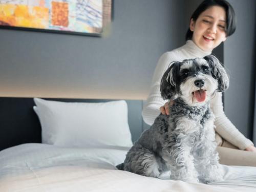 Nakagyo Ward Hotel | hotel anddoggy Kyoto Nijo